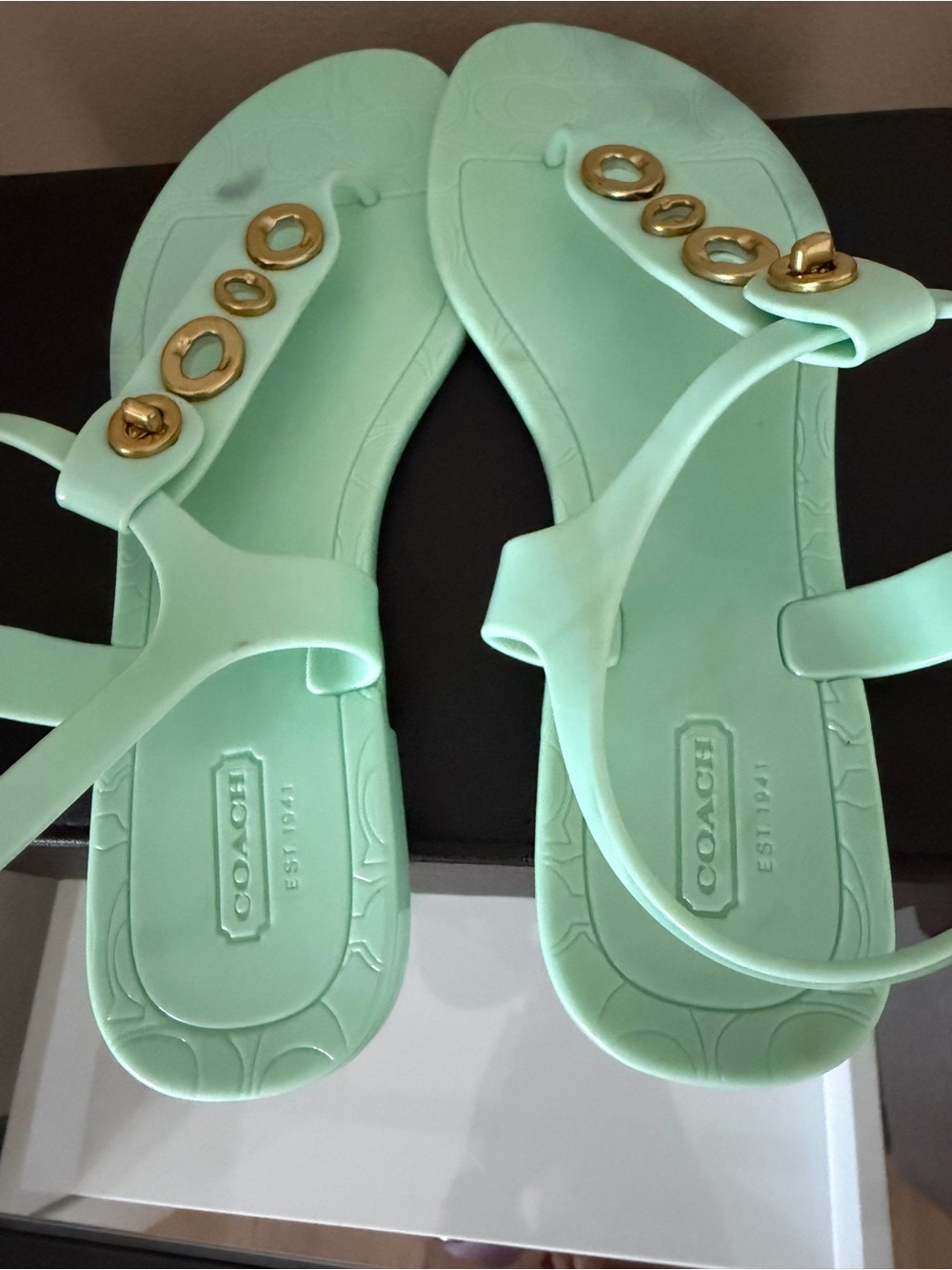 COACH Phila Mint Green Jelly Thong Sandals with Gold Turnlock Accents - Size 9B - Picture 3 of 13
